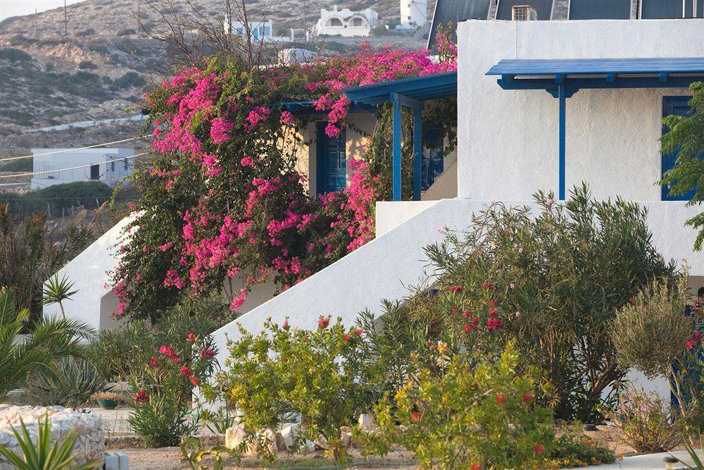 Firoa Studios Donoussa Exteriör bild